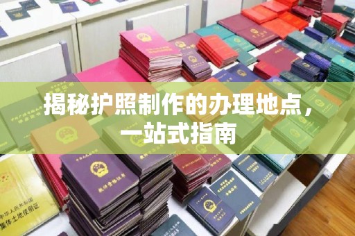 沈河揭秘护照制作的办理地点，一站式指南